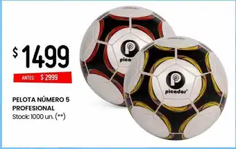 Changomas Pelota número 5 profesional oferta