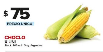 Carrefour Maxi Choclo x un oferta