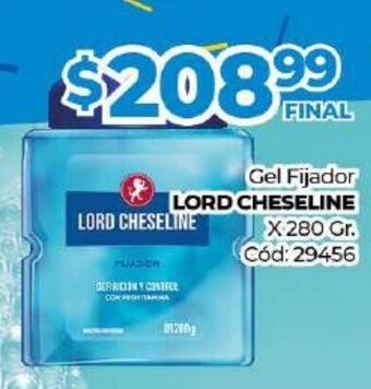 Diarco Lord Cheseline Gel Fijador x 280gr oferta