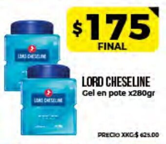 Supermayorista Vital Lord Cheseline Gel en Pote x280gr oferta
