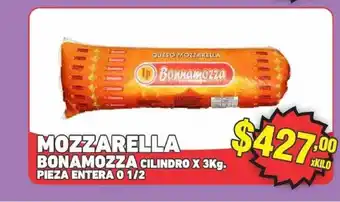 Mozzarella Bonamozza Cilindro X 3kg.