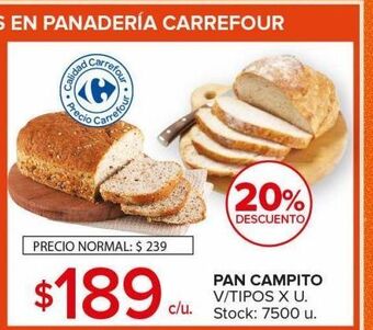 Carrefour Maxi Pan campito oferta