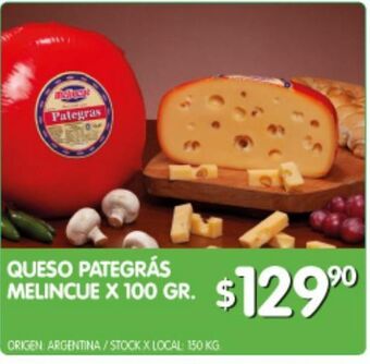 Jumbo Queso pategrás melincue 100g oferta