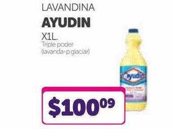 La Gallega Supermercados Lavandina Ayudin oferta