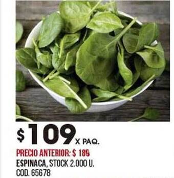 Coto Espinaca oferta