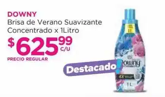 Downy Brisa De Verano Suavizante Concentrado