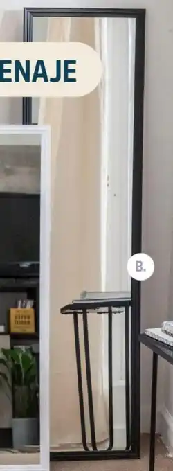 Easy Espejo Placard 30x120cm oferta