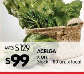 Disco Acelga x un oferta