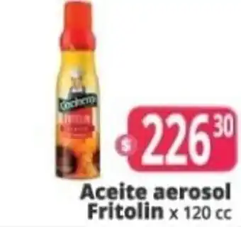Autoservicio Capo Aceite Aerosol Fritolin x 120 cc oferta
