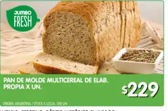 Jumbo Pan de molde x un oferta