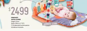 Changomas Gimnasio oferta
