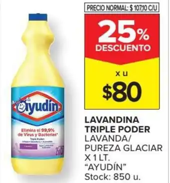 Carrefour Ayudín Lavandina Triple Poder Lavanda/Pureza Glaciar x 1Lt oferta