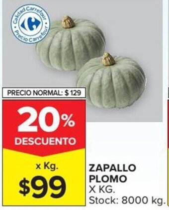 Carrefour Zapallo Plomo x Kg. oferta