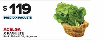 Carrefour Maxi Acelga x paquete oferta