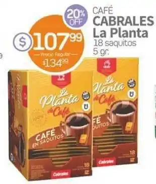 Alvear Café Cabrales La Planta 18 Saquitos 5gr oferta