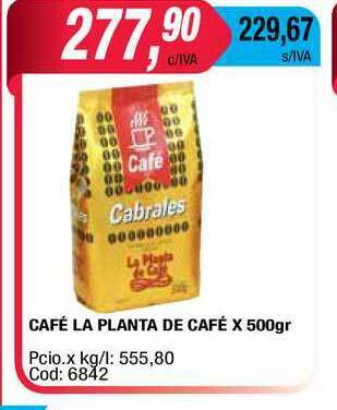 Maxiconsumo Café La Planta De Café x 500gr oferta
