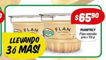 Almacor Manfrey Flan vainilla pote x 120 gr oferta