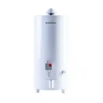 Pinturerías Rex Termotanque a gas sherman 80 litros de pie tpgp80 oferta