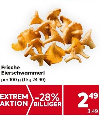 Billa Frische Eierschwammerl per 100 g Angebot