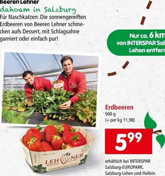 Interspar Erdbeeren 500 g Angebot