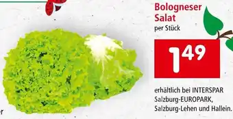 Interspar Bologneser Salat Angebot