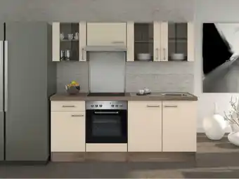 Möbelix Küchenzeile Eico mit Geräten 210 cm Weiß/Eiche Dekor Modern Angebot