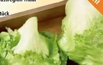 Eissalat