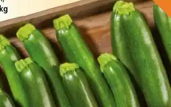 Norma Zucchini Angebot