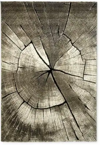 Möbelix Webteppich Naturfarben Holzdessin Groot 120x170 cm Angebot