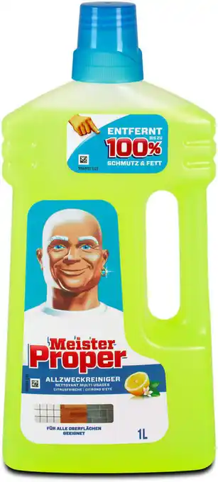 dm Meister Proper Allzweckreiniger Citrusfrische Angebot