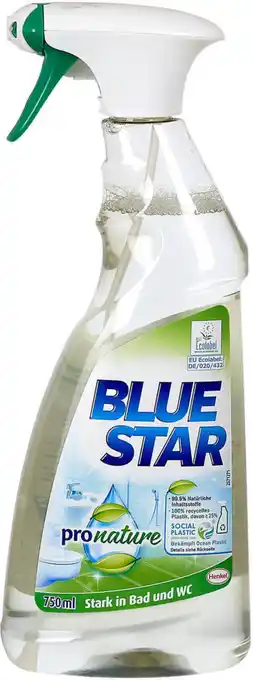 dm Blue Star pro nature Badreiniger Angebot