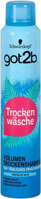 dm got2b trockenwäsche Trockenshampoo volumen Angebot