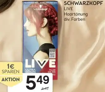 Bipa Schwarzkopf Live Angebot