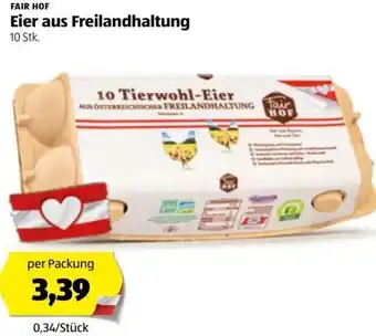Hofer Eier aus Freilandhaltung 10 Stk. Angebot