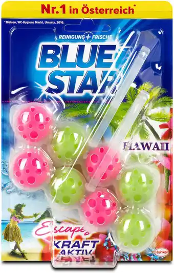 dm Blue Star Kraft-Aktiv WC-Reiniger Hawaii Escapes Angebot