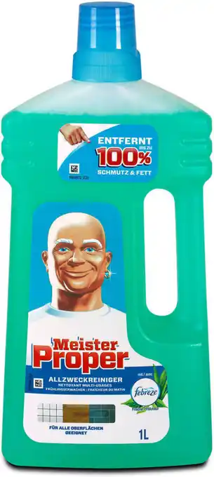 dm Meister Proper Allzweckreiniger Frühlingserwachen Angebot