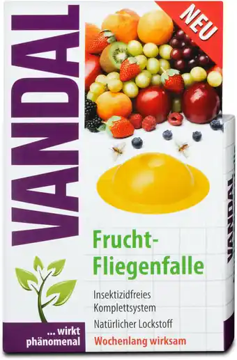 dm Vandal Frucht-Fliegenfalle Angebot