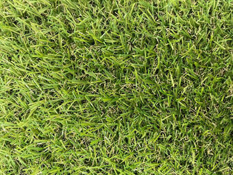 XXXLutz Rasenteppich Angebot