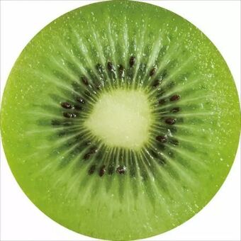 Möbelix Sitzkissen Fruits Angebot