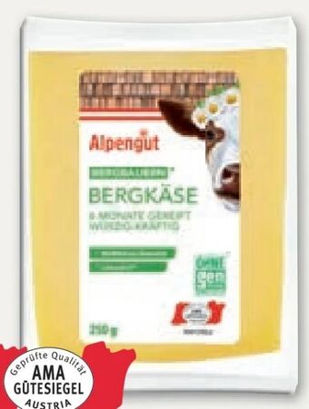 Lidl Bergkäse Angebot