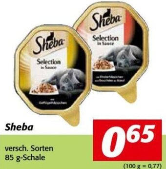 Nah&Frisch Sheba 85 g Angebot