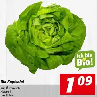 Nah&Frisch Bio Kopfsalat Angebot