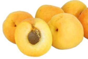 Transgourmet Marillen Angebot