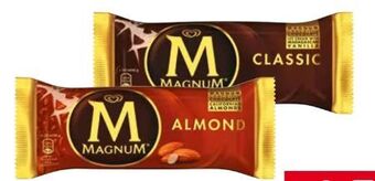 Transgourmet Magnum Angebot