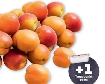 PENNY Marillen Angebot