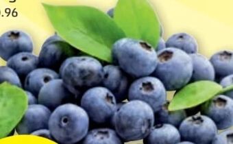 PENNY Heidelbeeren Angebot