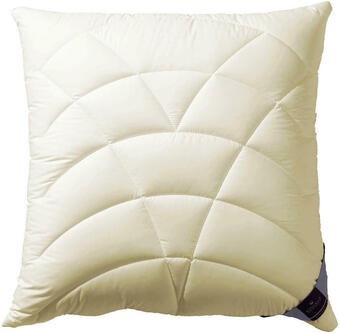 XXXLutz Polster 70/90 cm Climatraum Angebot