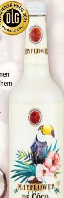 Norma De Côco Angebot