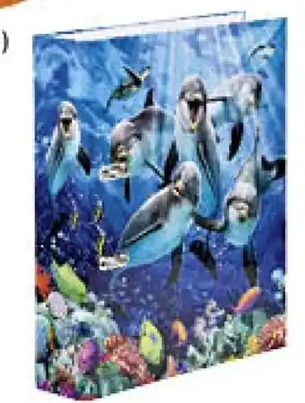 Müller Ordner Delfin Angebot