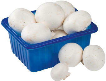 Billa Champignons Angebot